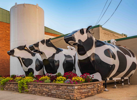Moos on Main — West Jefferson NC Jigsaw Puzzle