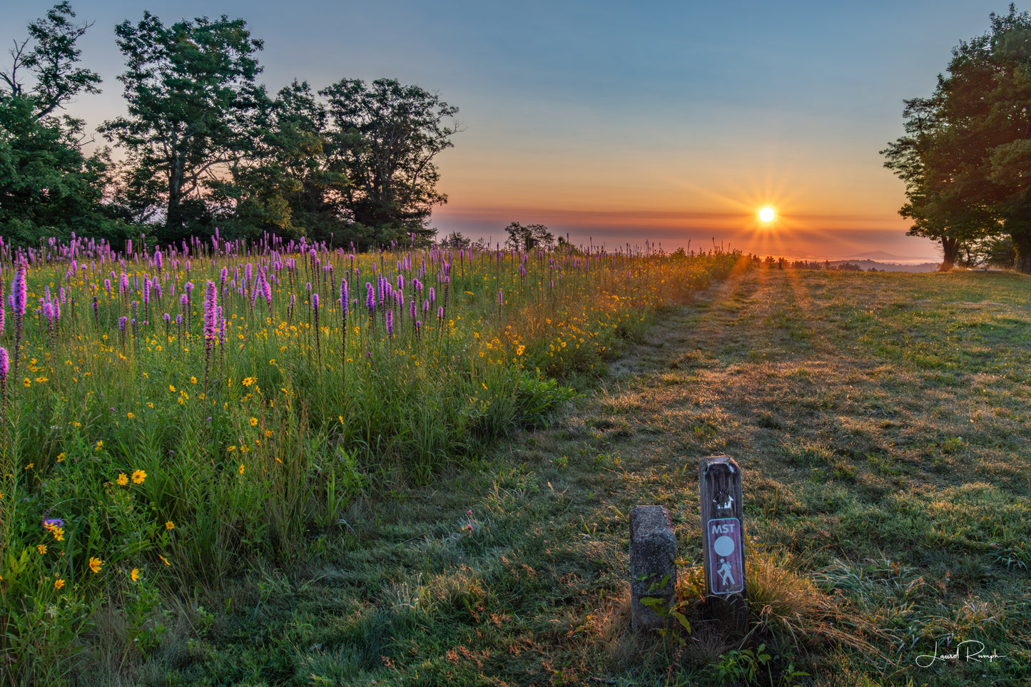 Blazing the Trail - Blue Ridge Parkway, NC - Prints