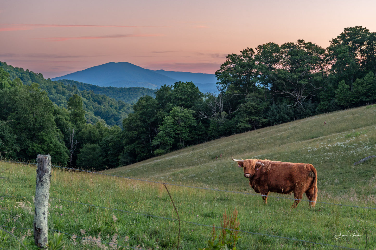 Highland Skye - Blue Ridge Parkway, NC - Prints