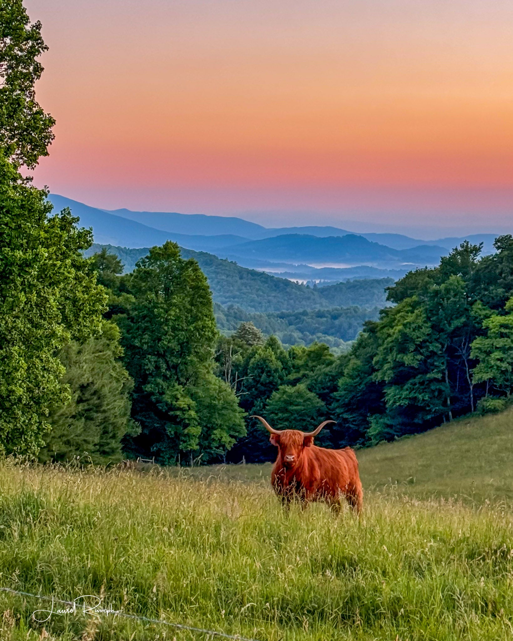 Highland Wow! - Blue Ridge Parkway, NC - Prints – Laurel Rumph