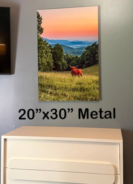 Highland Wow! - Blue Ridge Parkway, NC - Prints