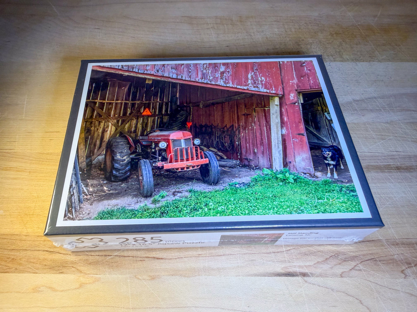 Still Standing — Lansing, NC Jigsaw Puzzle