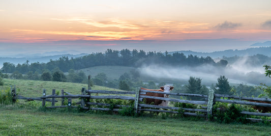 Morning Watch - Blue Ridge Parkway, NC - Prints