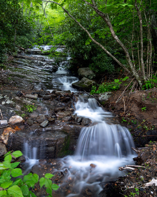 View of Nana Falls on the New river surrounded by lush greenery, and water looking silky as it flows over the rocks, Ashe County, North Carolina. 4x5 crop