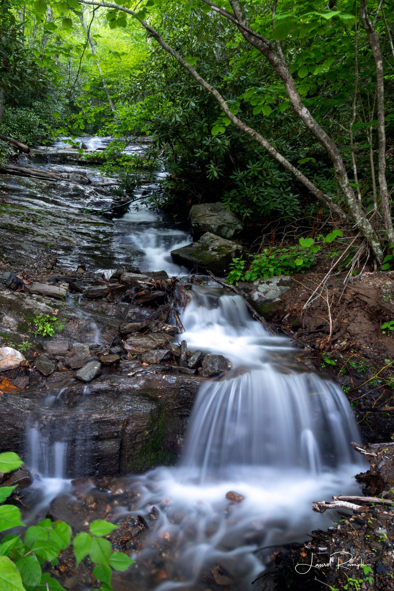 View of Nana Falls on the New river surrounded by lush greenery, and water looking silky as it flows over the rocks, Ashe County, North Carolina. 2x3 crop