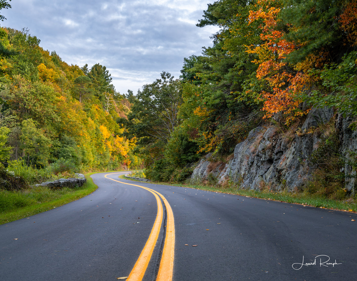 View of a curve in the blue ridge parkway, where the yellow lines are freshly painted and the leaves are starting to change yellow and orange, with stones flanking each side, Doughton Park, Noth Carolina. 4x5 crop