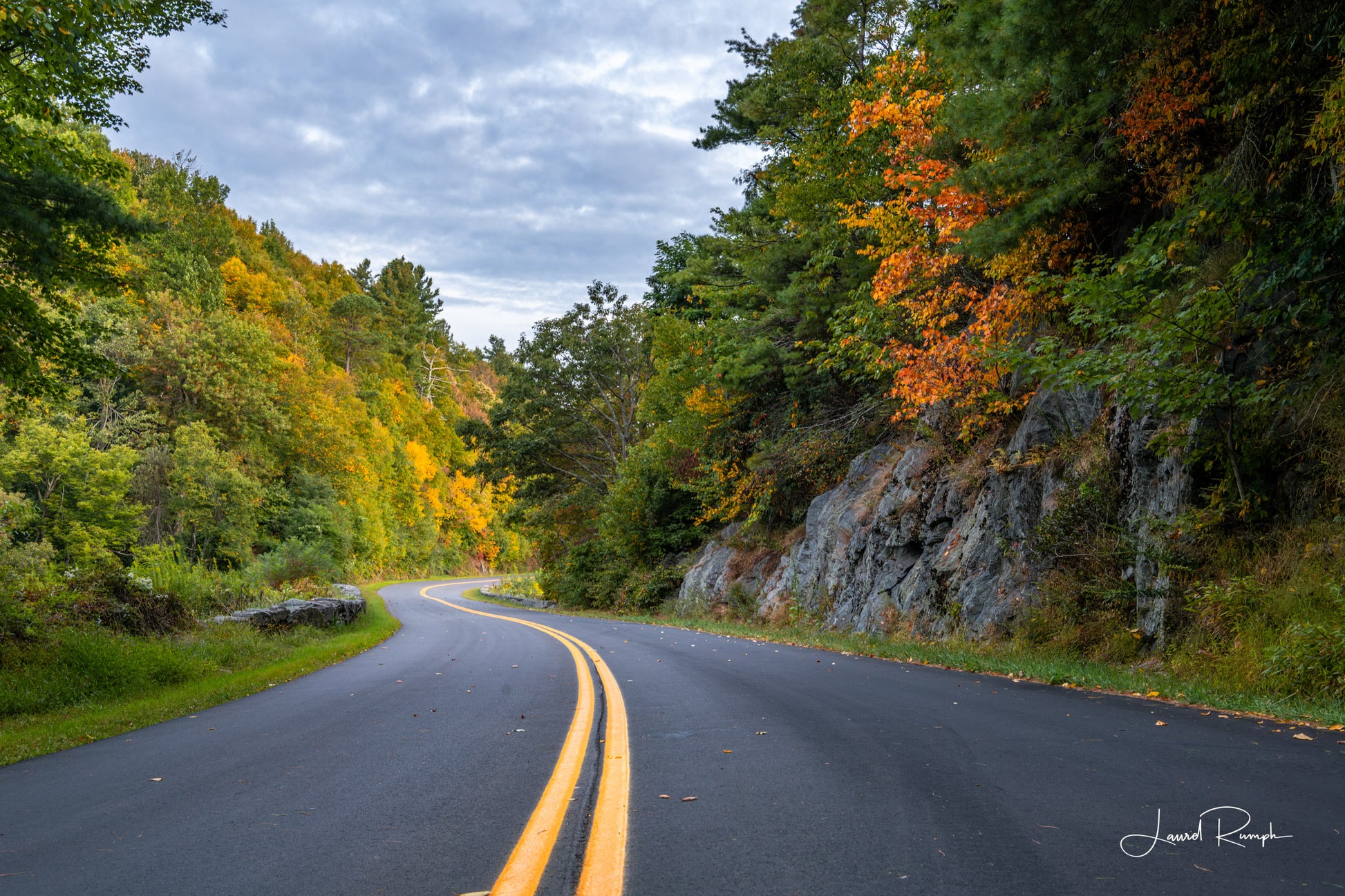View of a curve in the blue ridge parkway, where the yellow lines are freshly painted and the leaves are starting to change yellow and orange, with stones flanking each side, Doughton Park, Noth Carolina. 2x3 crop