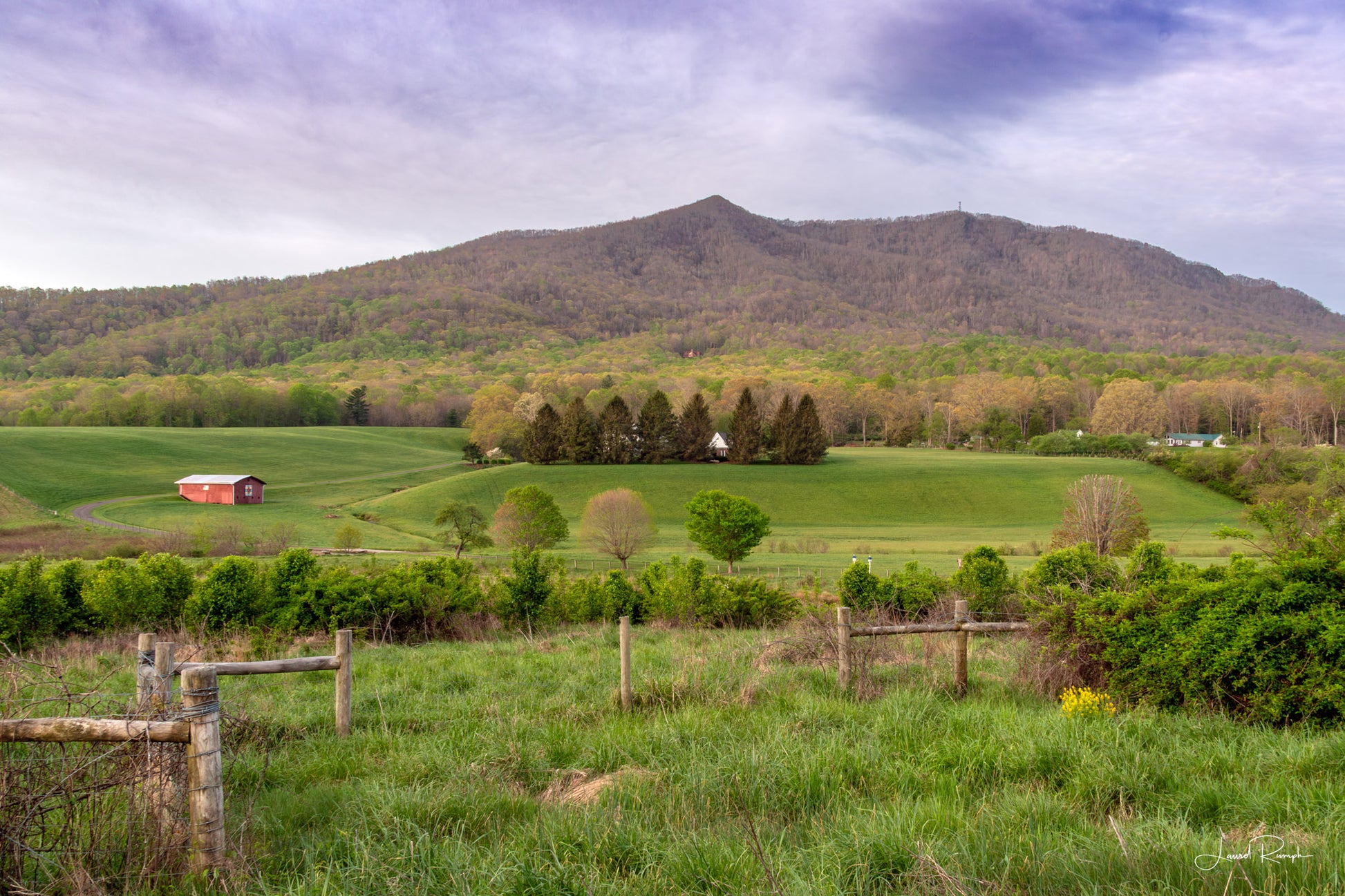 View of Mount Jefferson in early spring with a fence in the foreground, yellow wildflowers, and a red barn in a large pasture in the mid ground, in Jefferson, North Carolina.