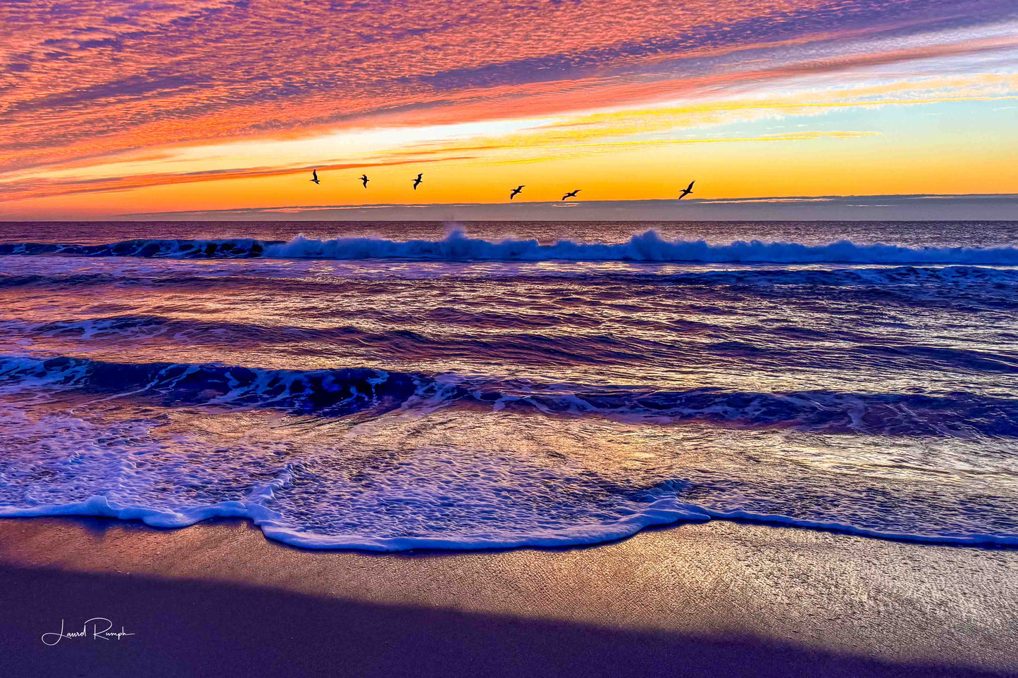 Colorful sunrise at Kure Beach, North Carolina with pelicans silhouetted against a purple and orange sky.
