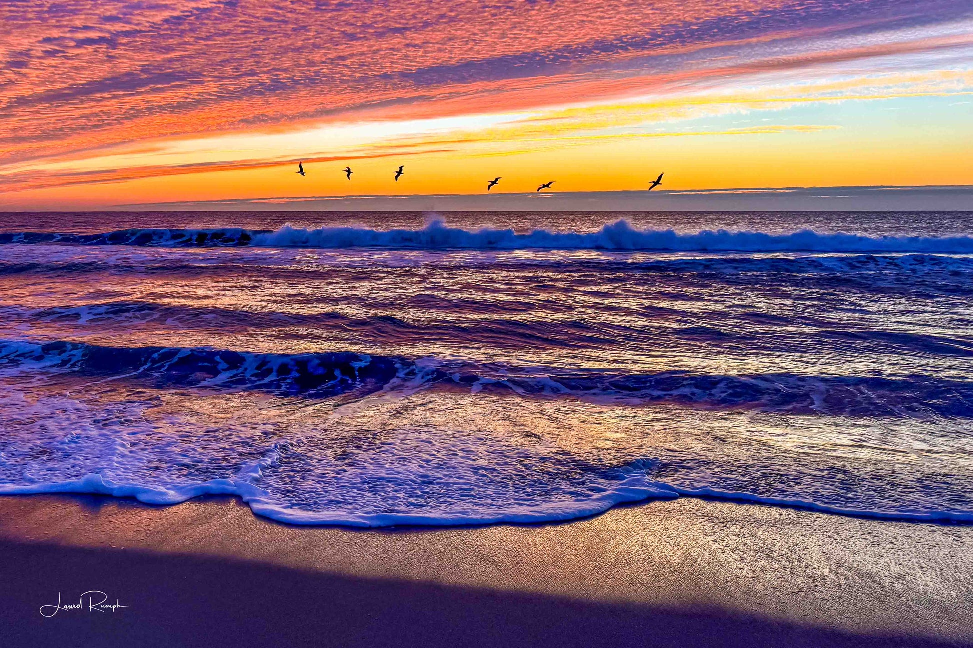 Colorful sunrise at Kure Beach, North Carolina with pelicans silhouetted against a purple and orange sky.
