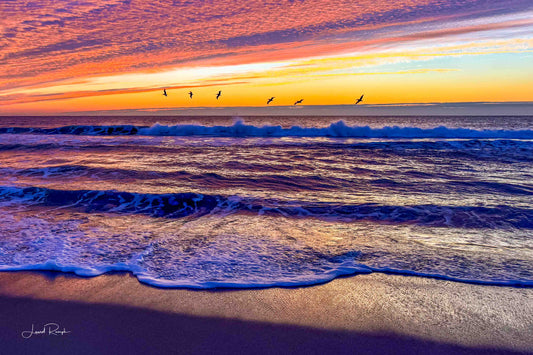 Colorful sunrise at Kure Beach, North Carolina with pelicans silhouetted against a purple and orange sky.