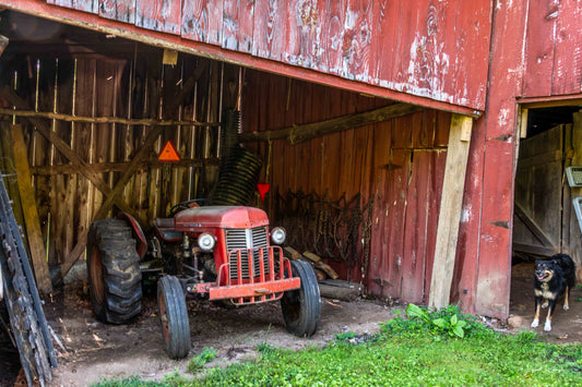 Still Standing — Lansing, NC Jigsaw Puzzle