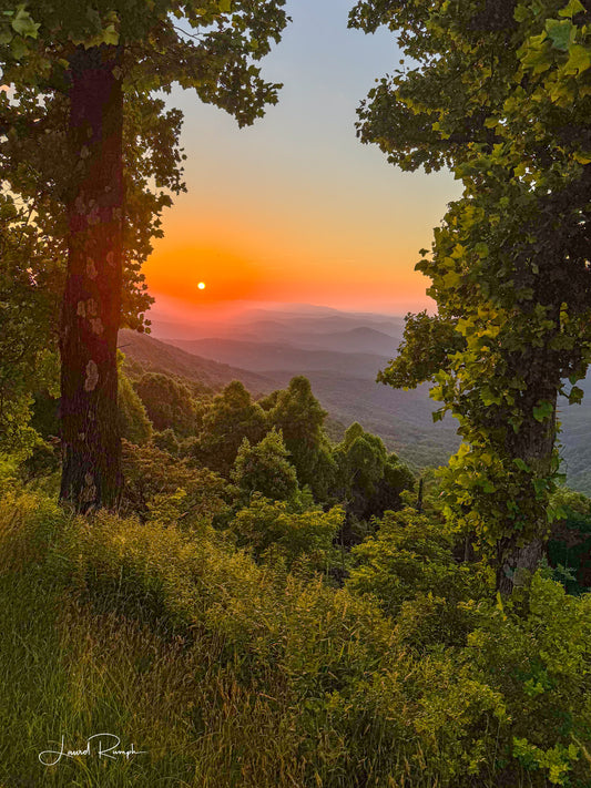 Colorful orange sunrise from the lump overlook on the Blue Ridge Parkway, North Carolina, framed by trees! 2x3 crop