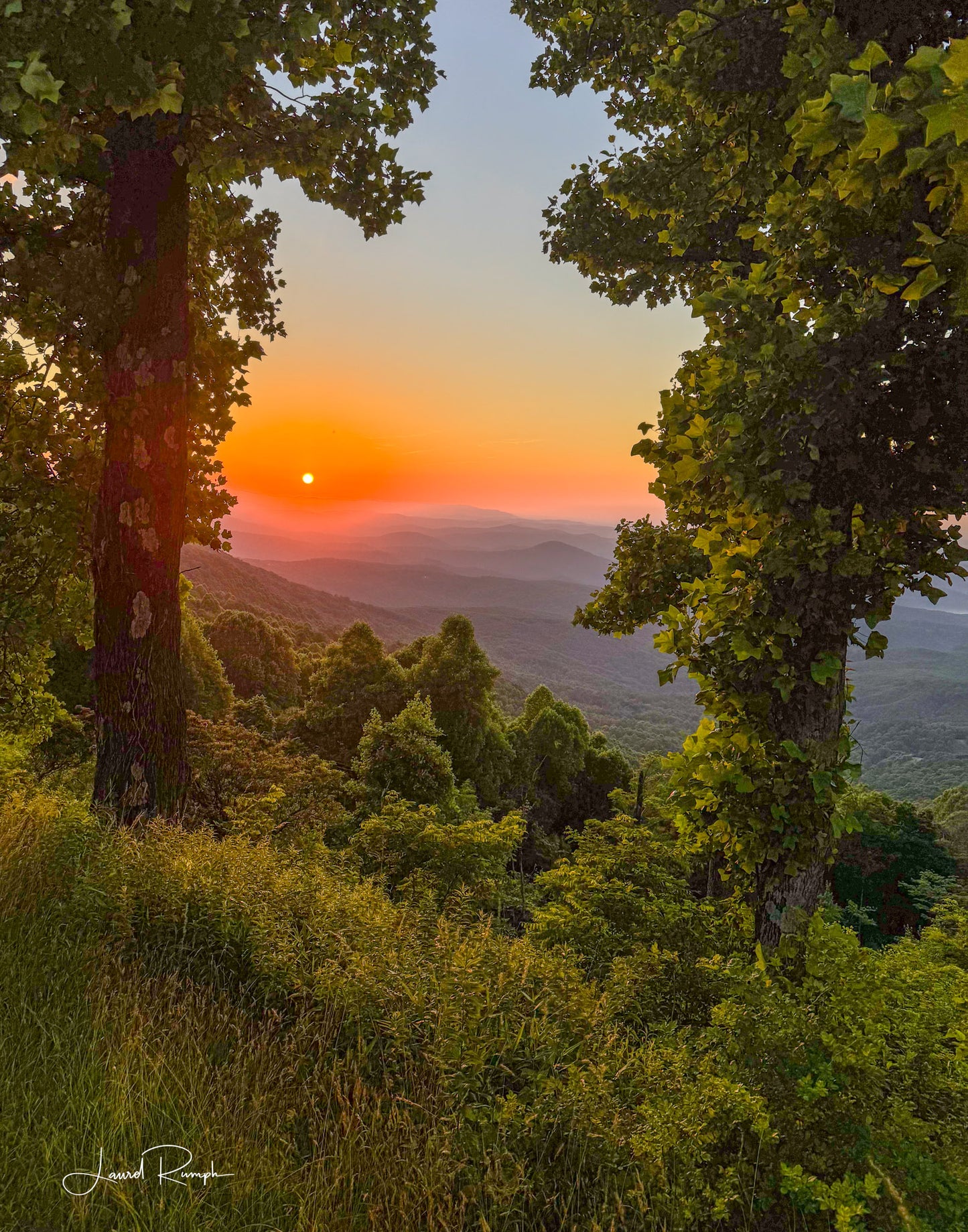 Colorful orange sunrise from the lump overlook on the Blue Ridge Parkway, North Carolina, framed by trees! 4x5 crop
