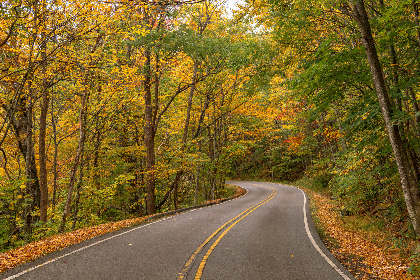 Winding road through Mount Jefferson State Park, North Carolina, with autumn foliage
