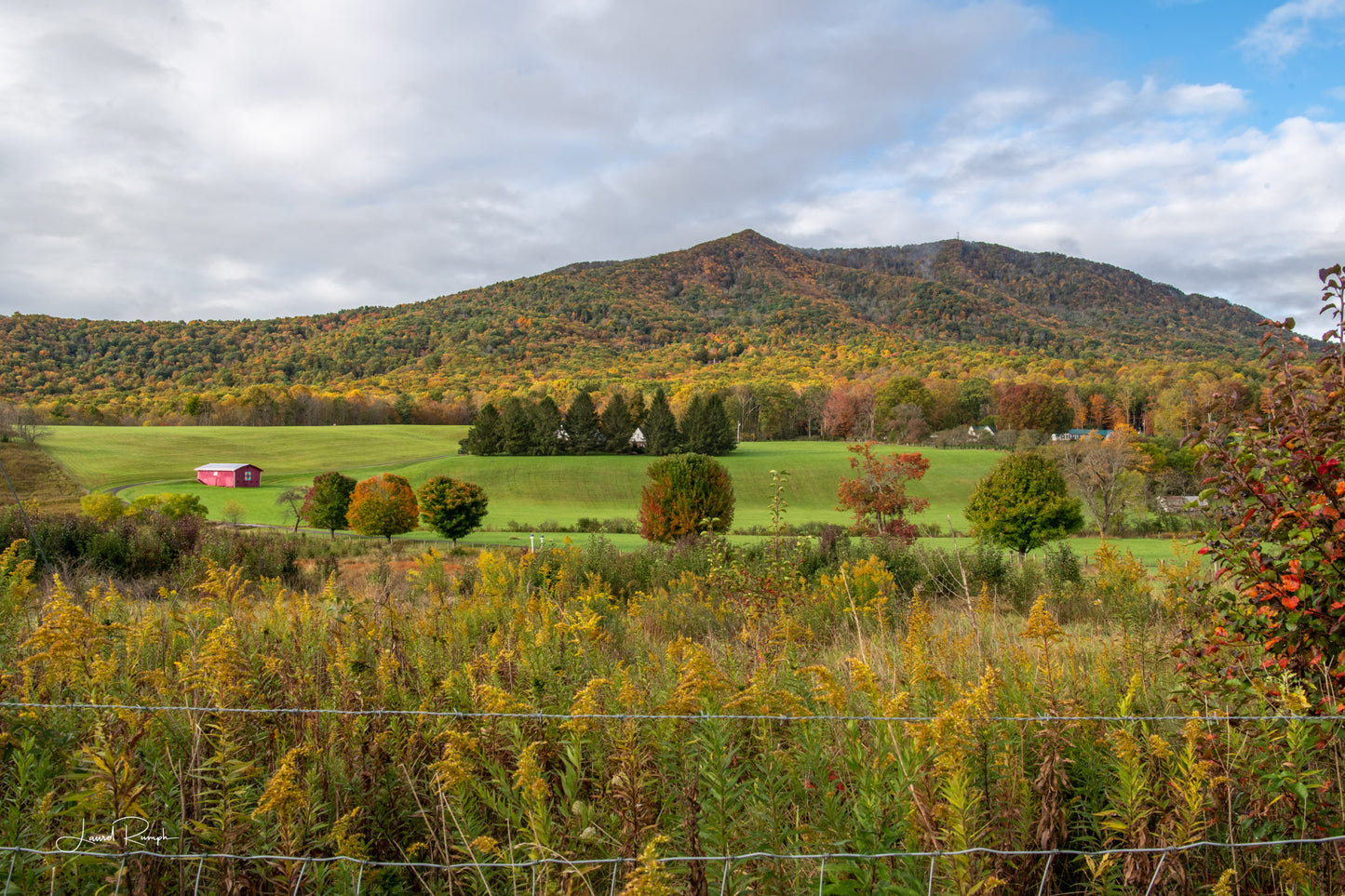 Autumn landscape with Mount Jefferson in the background, featuring green fields and trees with fall foliage, in Jefferson (Ashe County), North Carolina.