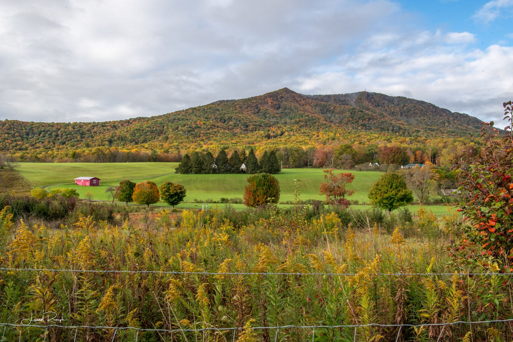 Autumn landscape with Mount Jefferson in the background, featuring green fields and trees with fall foliage, in Jefferson (Ashe County), North Carolina.