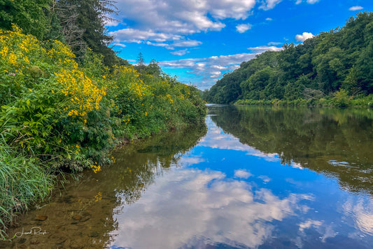 View of the New River from a rock outcropping at Elk Shoals (part of New River State Park) near sunset with stunning reflecting skies and wildflowers, Ashe County, North Carolina. 2x3 crop
