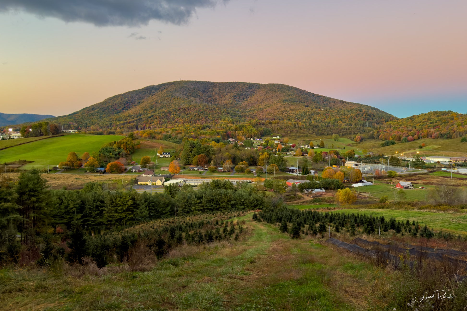View of Mount Jefferson from Nettle Knob Road in West Jefferson, North Carolina just after sunset (blue hour) with a field of Christmas trees in the foreground.