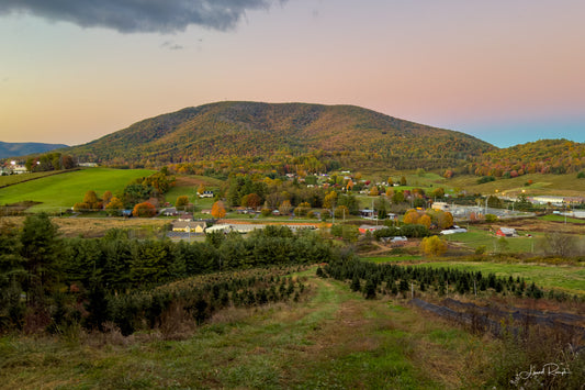 View of Mount Jefferson from Nettle Knob Road in West Jefferson, North Carolina just after sunset (blue hour) with a field of Christmas trees in the foreground.