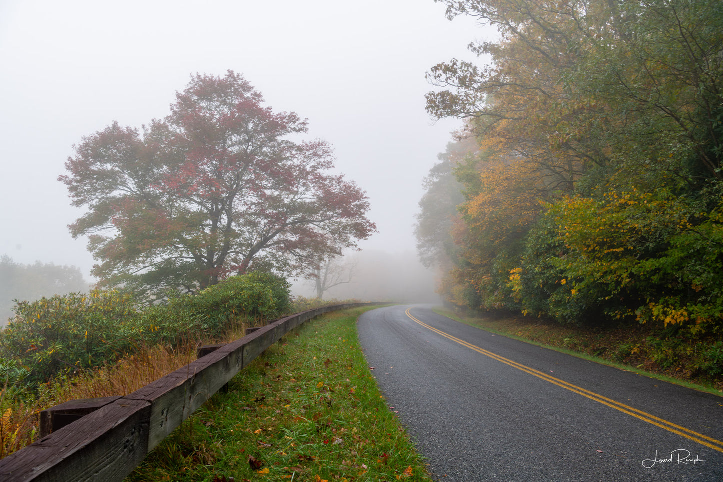 Blue Ridge Parkway in North Carolina on a foggy morning with early fall color appearing in the trees.