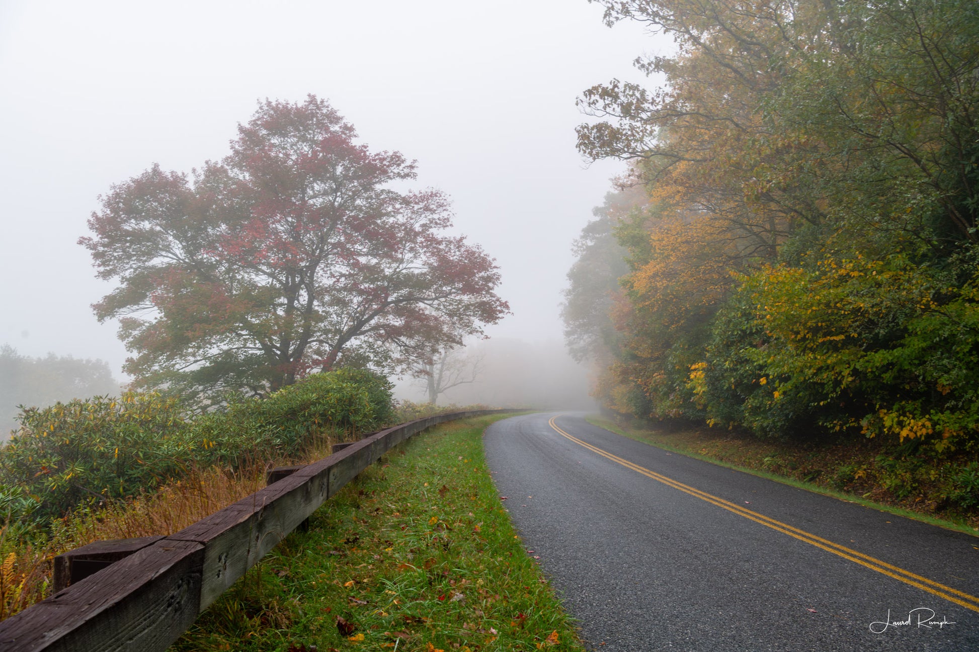 Blue Ridge Parkway in North Carolina on a foggy morning with early fall color appearing in the trees.