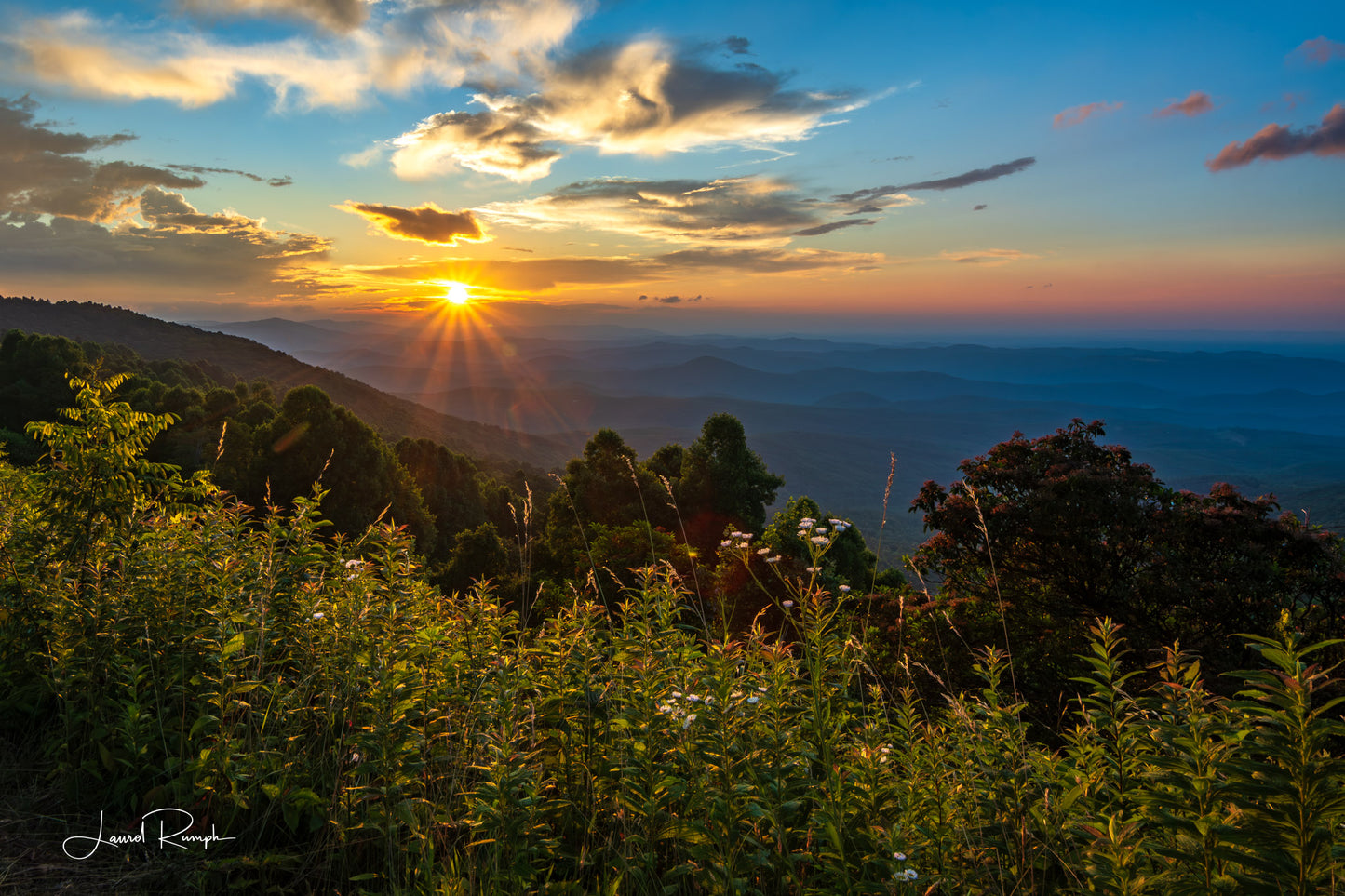 Sunrise from the Blue Ridge Parkway in Ashe County, North carolina, at the Lump Overlook and wildflowers in the foreground. 2x3 crop