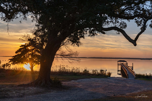 Sunset over the Cape Fear River at Fort Fisher, North Carolina with a tree in the foreground and a glowing pier extending over the water.