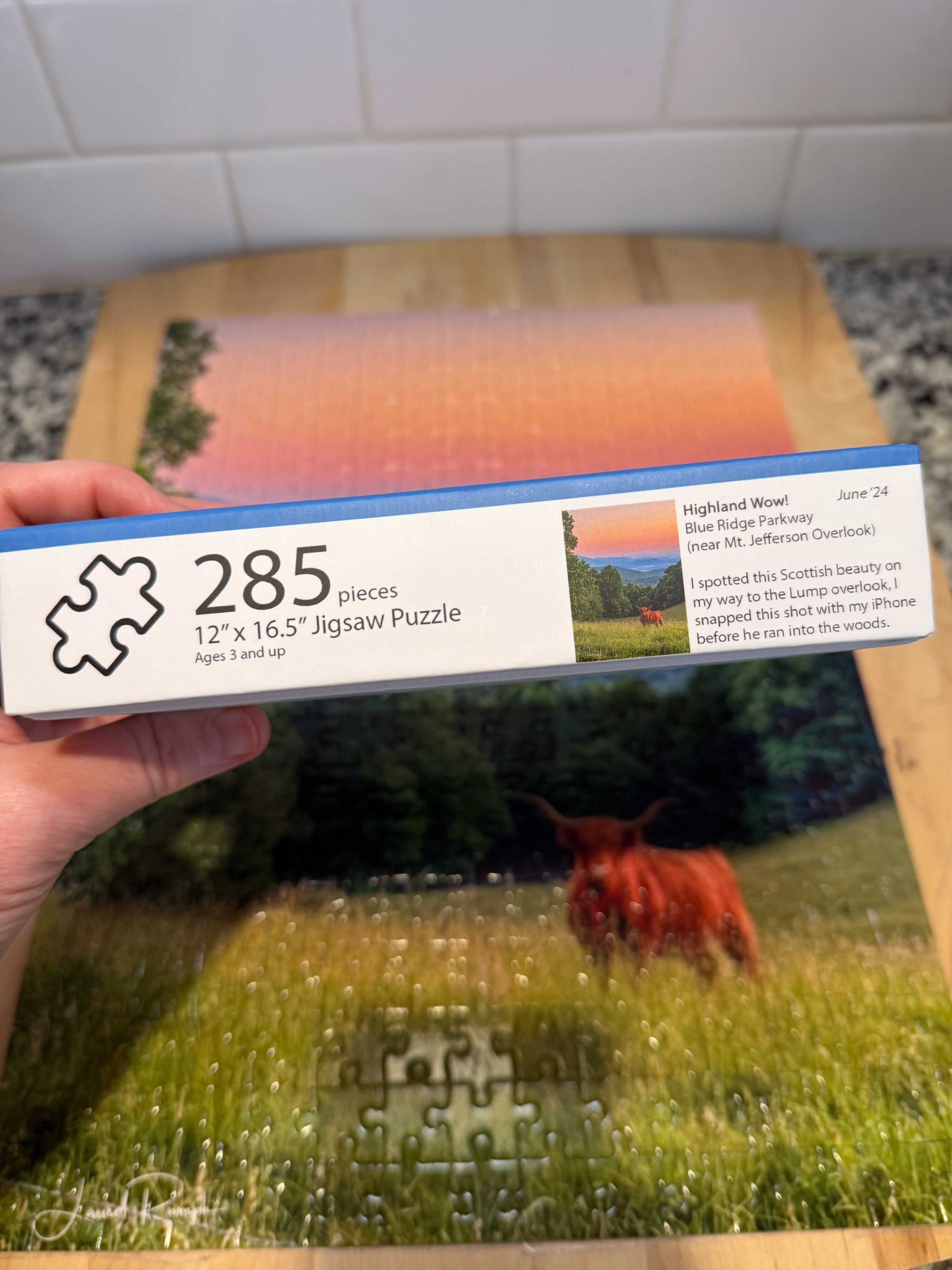Highland cow puzzle box, Blue Ridge Parkway, Ashe County, North Carolina