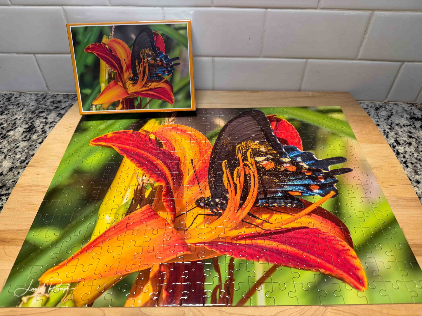 Gold Dust Glamour — Butterfly Jigsaw Puzzle, Warrensville, NC