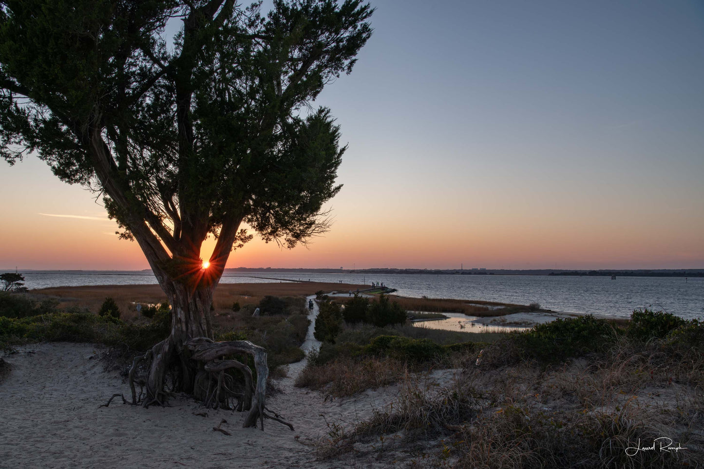 Sunset at Battery Buchanan (Fort Fisher) in North Carolina overlooking the Cape Fear River, with a sandy trail and a tree with exposed roots in the foreground.